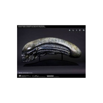 Alien: Covenant Replica 1/1 Xenomorph Head 90 cm